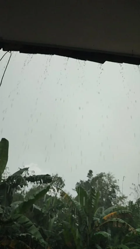 Rain Drop Video stock 272292177