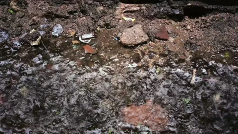 Rain Drop Stock Footage 276169981