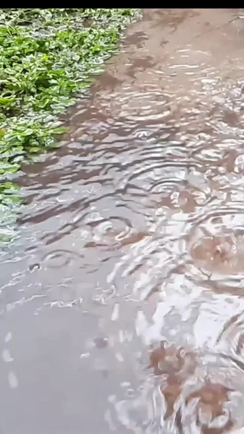 Rain drop 库存影片 297738477