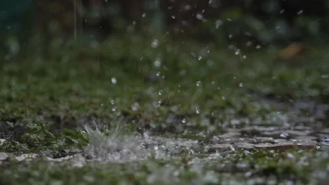 Rain drop on the ground and grass, water... | Stock Video | Pond5