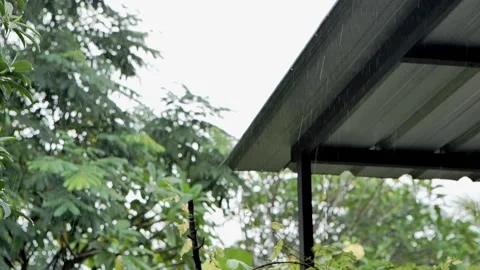 Rain drop on the leaf of green plant blurr to focus on the object Stock Footage 172393890