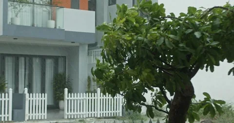 Rain drop on leaf tree. Heavy Rain Falling On Tree Leaves. 4K. Raining shower Stock Footage 283238340