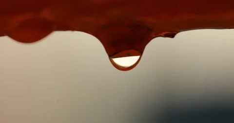 Rain drop Macro shot Stock Footage 279900296