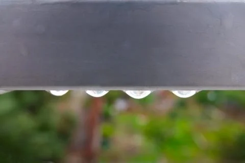 Rain drop Stock Photos