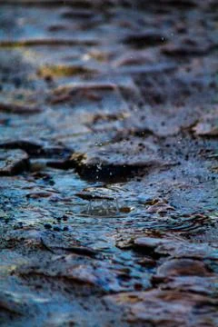 Rain drop Stock Photos