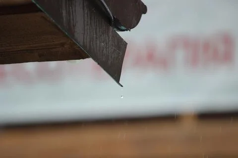 Rain drop Stock-Fotos