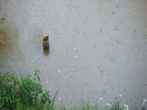 Rain drop on the puddle Stock Footage 94144321
