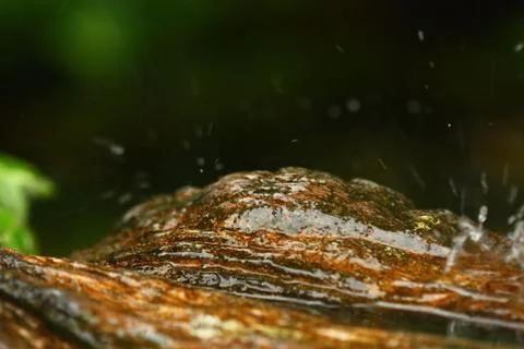 Rain drop on rock dark background Stock Photos