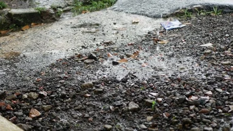 Rain drop on the rock ground with garbage, leafs, rocks. Close up Stock Footage 258322484
