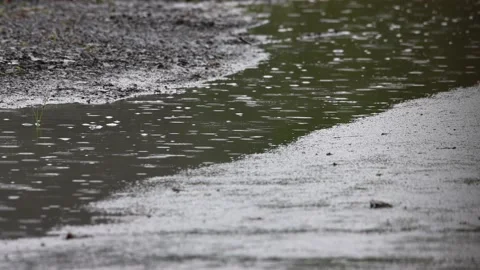 Rain drop splashes hit the asphalt Stock Footage 148309882
