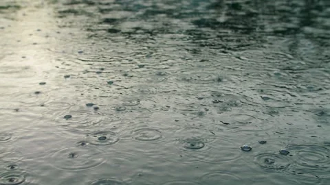 Rain drop storm wet forest weather cloud branch tree puddle Stock Footage 245846580