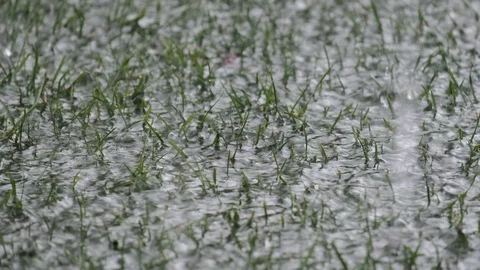 Rain drop on the street. Stock Footage 121999799