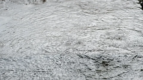Rain drop on the street. Stock Footage 122000453