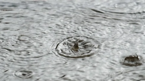 Rain drop on the street. Stock Footage 122000689