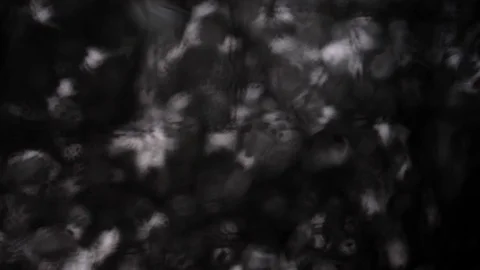 Rain drop on window Stock Footage 113895659