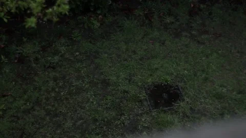 Rain droping on grass Stock-Footage 233105497