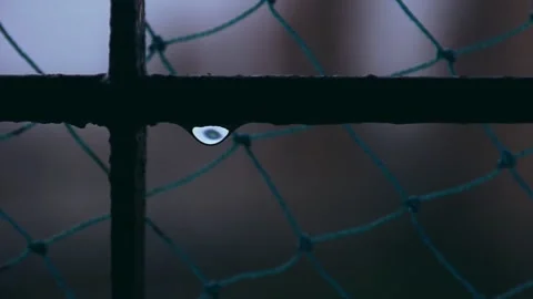 Rain droplet Stock Footage 137333851