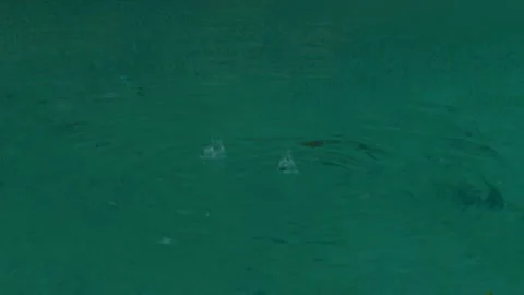 Rain droplets close up in pool Stockbeeldmateriaal 168385142