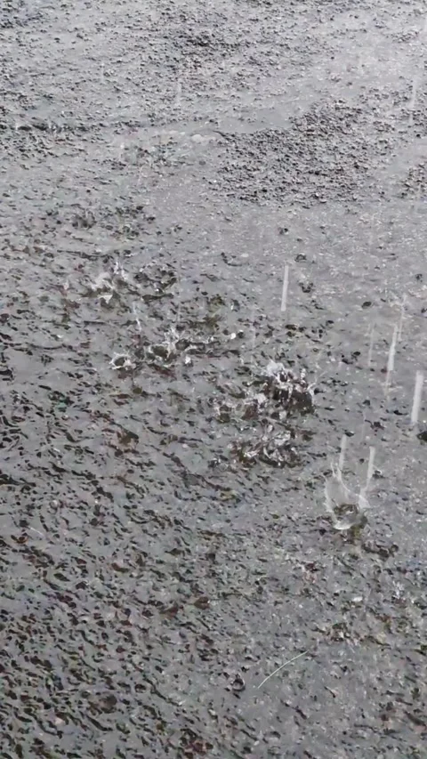 Rain Droplets Creating Ripples and Splashes on Wet Road Surface Video stock 335613034