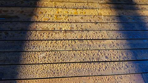 Rain droplets on the deck at dawn Foto stock
