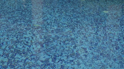 Rain droplets drops falling onto the surface of a swimming pool, Close up r.. Stock Footage 265233443