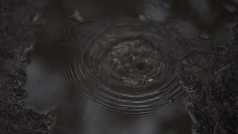 Rain droplets fall into puddle - Slowmotion Close-up Stock Footage 144262385