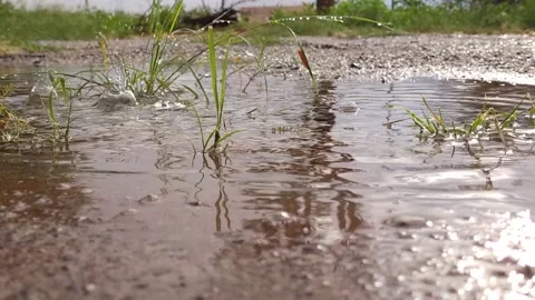 Rain Droplets Falling on Puddle with Grass and Pebbles Overcast Sky Video stock 205314154