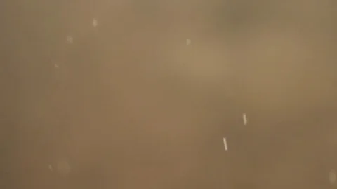 Rain droplets falling in slow motion Stock Footage 79736802