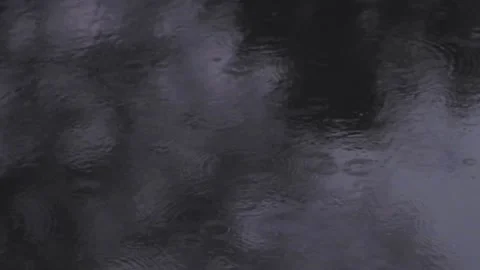 Rain Droplets on Falling on Water Surface Video stock 169712739