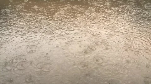 Rain droplets falls into puddles. Stock Footage 297237217