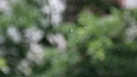 Rain droplets falls slowly on blur background Stock Footage 297454672