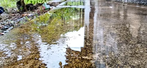 "Rain Droplets Forming Natural Patterns" Stock Footage 295395083