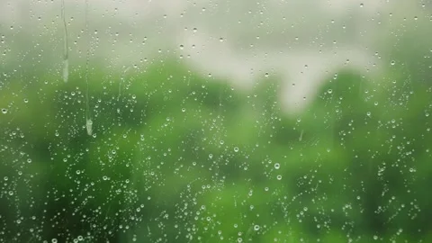 Rain droplets on glass window with blurred green foliage in the background Stock Footage 313333153