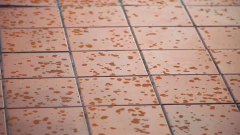 Rain droplets landing on red tile in the daylight Stock Footage 244493507