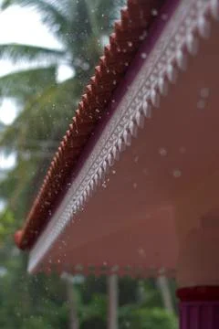 Rain Droplets Stock Photos