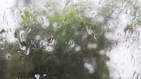 Rain Droplets Streaming Down Window Pane With Blurred Green Foliage Background Stock Footage 342224304
