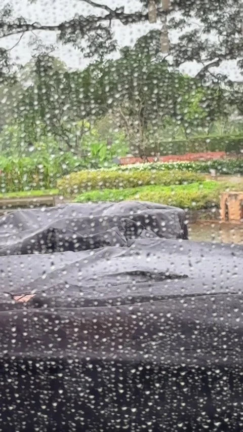 Rain Droplets on Window With Blurred Outdoor Scene Stock Footage 346849124