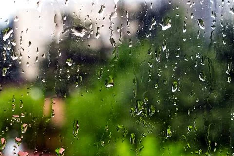 Rain droplets on a window glass pane with green trees on the background. Stock-Fotos