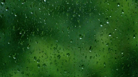 Rain Droplets on Window with Windy Trees Blowing during Stormy Weather Stock Footage 32517363