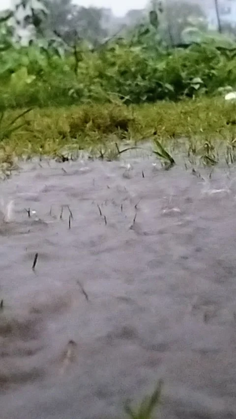 Rain Dropping on Blue Lake. Rainy Season in Tropical Countries. Stock Footage 287779302