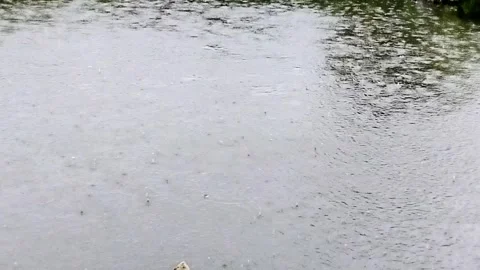 Rain Dropping on Blue Lake. Rainy Season in Tropical Countries. Stock Footage 287779321