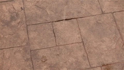Rain dropping to the ground Stock Footage 76849129