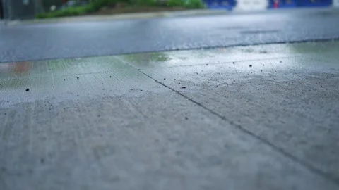 Rain dropping over sidewalk in amusement park or zoo area Stock Footage 309481953