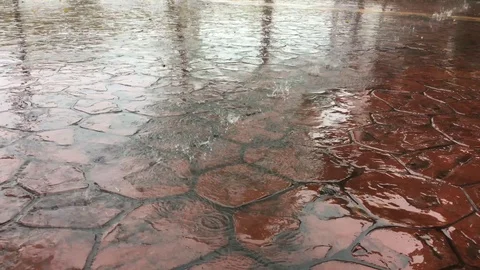 Rain dropping on sidewalk tiles Stock Footage 100806244