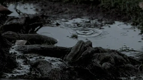 Rain drops 06 Stock Footage 342299