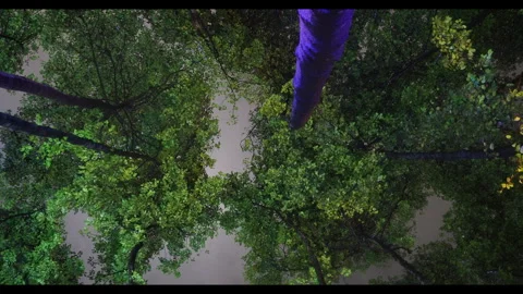 Rain Drops 2 Stock Footage 303413477