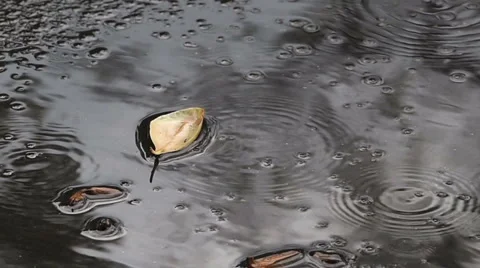 Rain drops 5. Stock Footage 1974972