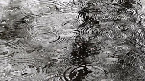 Rain drops 9. Stock Footage 1982645