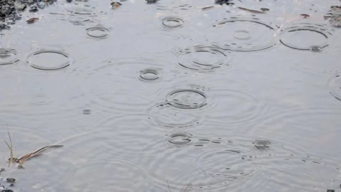Rain drops and large ripples in the shallow lake during rain,n close up views Video stock 326181353