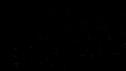 Rain Drops and Ripples on Black Background Stock Footage 296664023